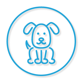 Pet Insurance at Liaison Creative + Marketing in Austin, Texas